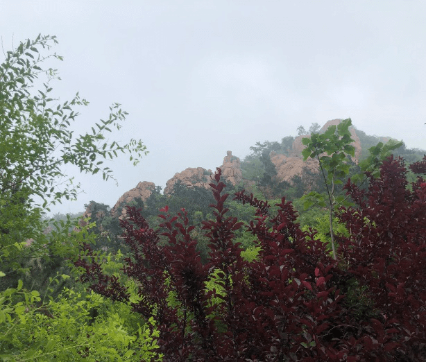 登山足跡